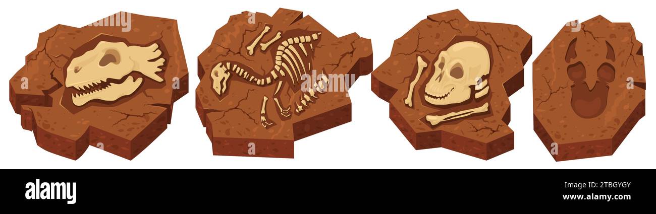 Archäologische Fossilien in Stein mit verschiedenen prähistorischen Dinosauriern Stock Vektor
