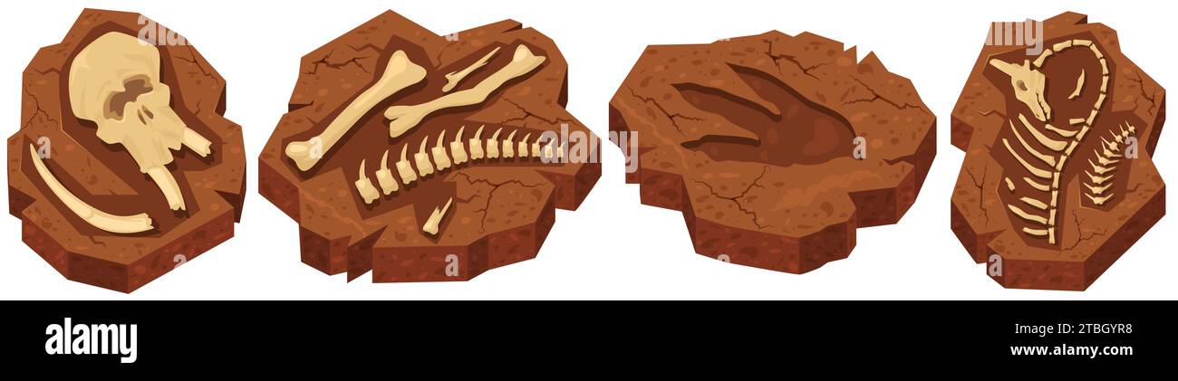 Fossile Knochen von Dinosaurierarchäologischen Ausgrabungen in Ammoniitstein Stock Vektor