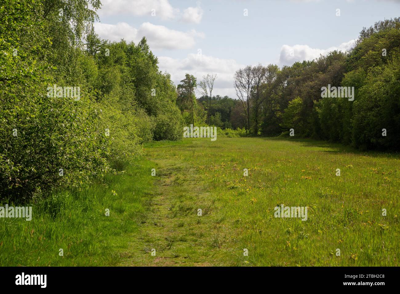 Restaurierte Landschaft rund um den niederländischen Fluss Ruiten AA; Sellingen, Groningen, Niederlande Stockfoto