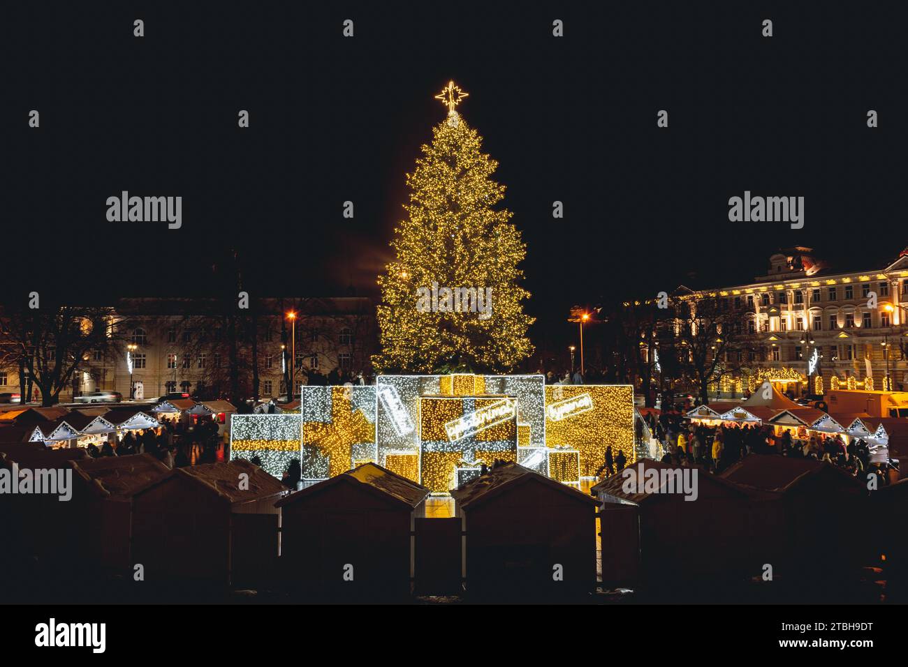 Wunderschöner echter Weihnachtsbaum mit Markt, Menschen und Touristen, die 700. Jahrestag der Stadt, Vilnius Domplatz, Litauen, Europa feiern Stockfoto
