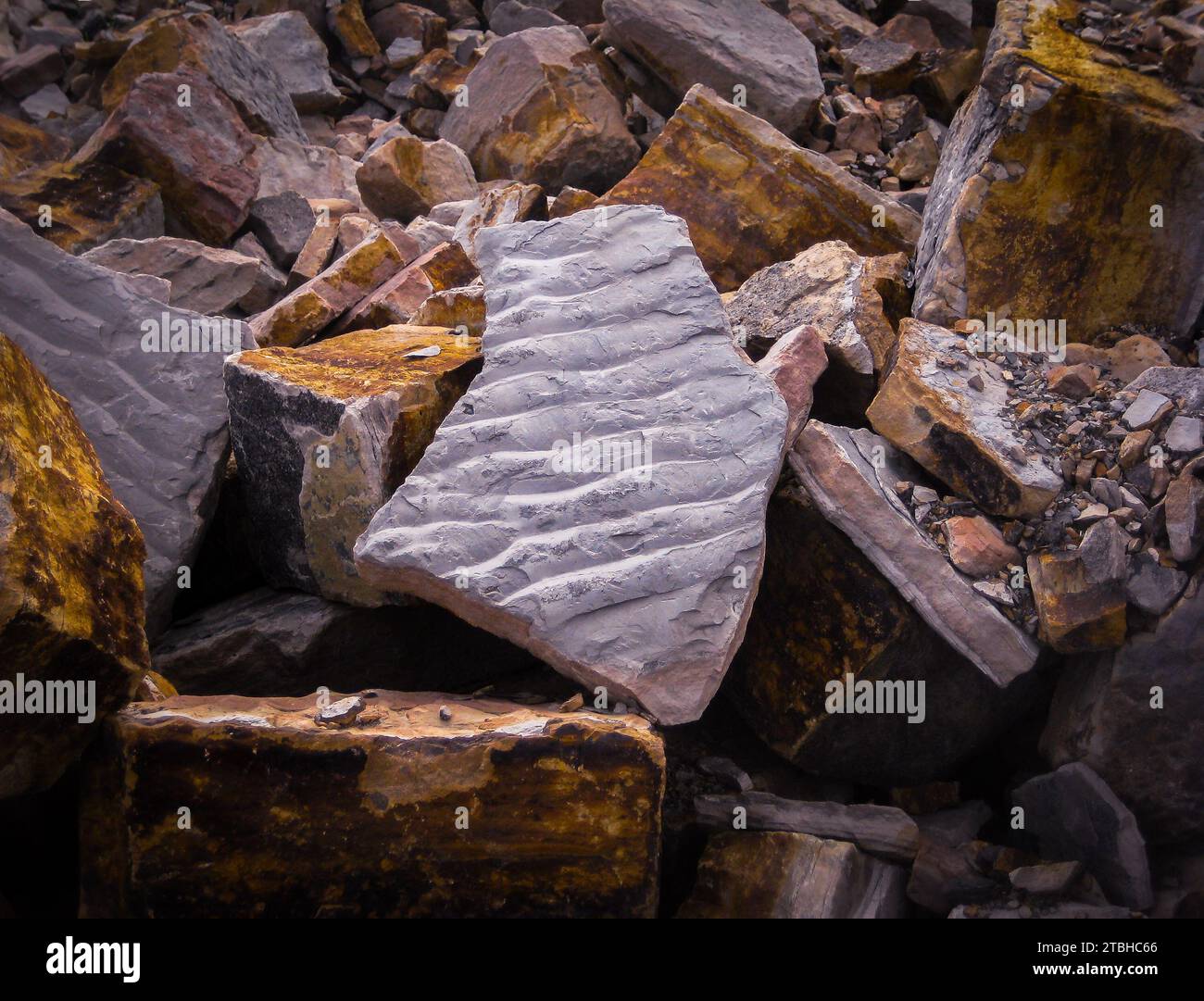 Fossile Rippelspuren aus der Karbonzeit Stockfoto