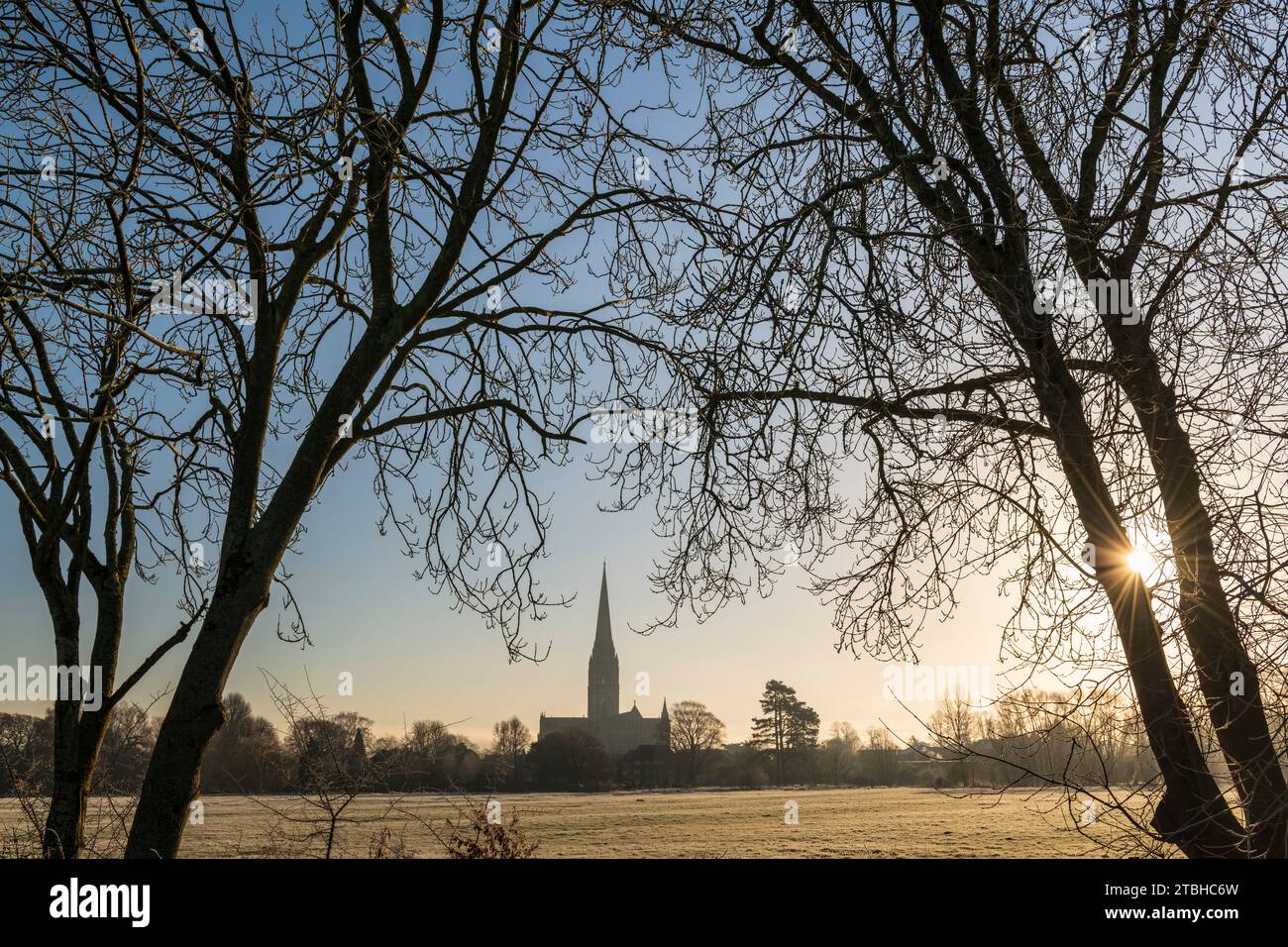 Kathedrale von Salisbury an einem frostigen Wintermorgen, Salisbury, Wiltshire, England. Winter (Februar) 2023. Stockfoto