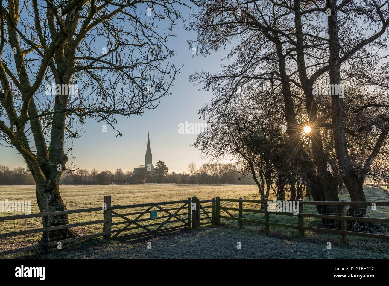 Kathedrale von Salisbury an einem frostigen Wintermorgen, Salisbury, Wiltshire, England. Winter (Februar) 2023. Stockfoto