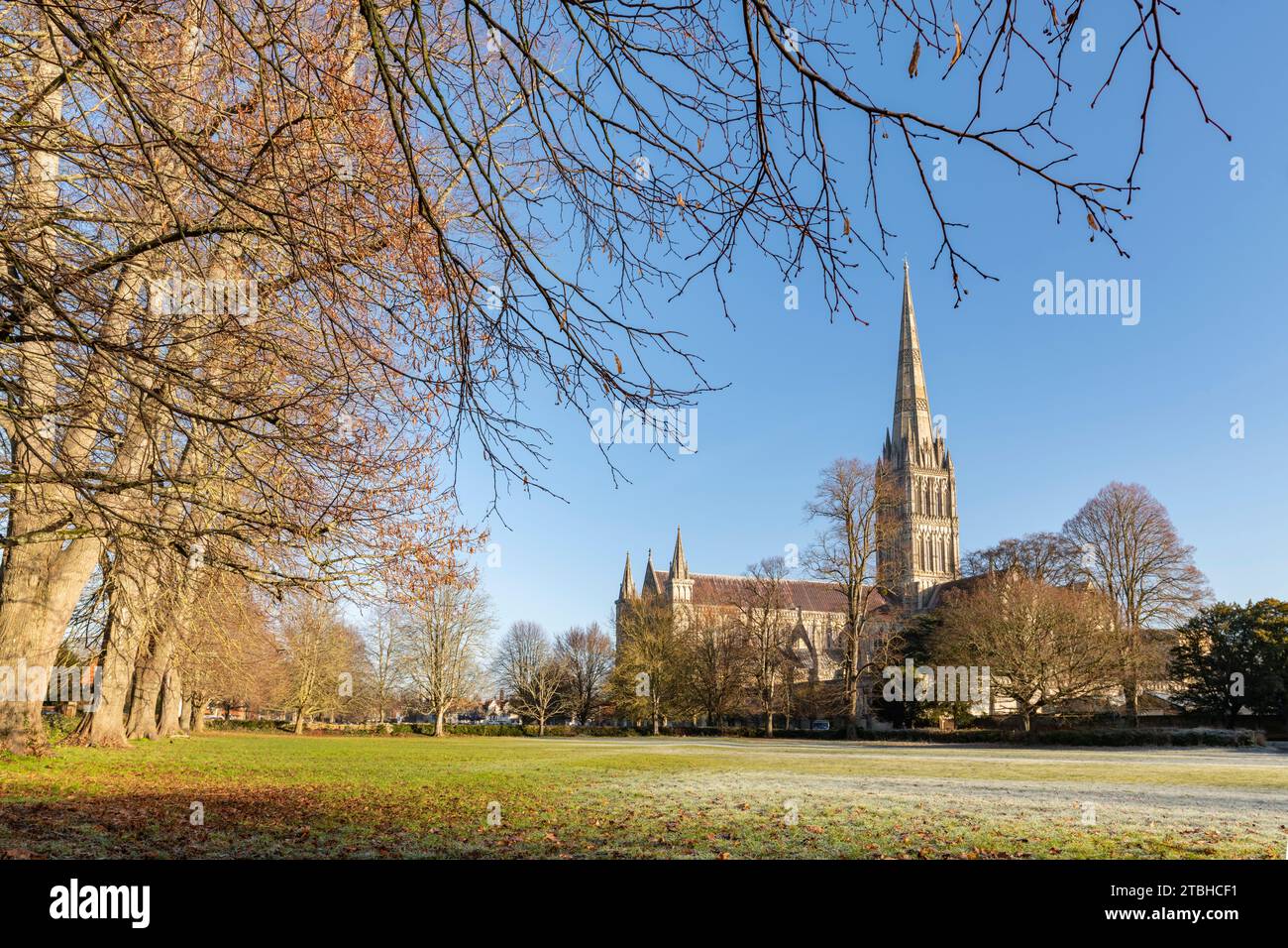 Salisbury Cathedral an einem Wintermorgen, Wiltshire, England. Winter (Februar) 2023. Stockfoto