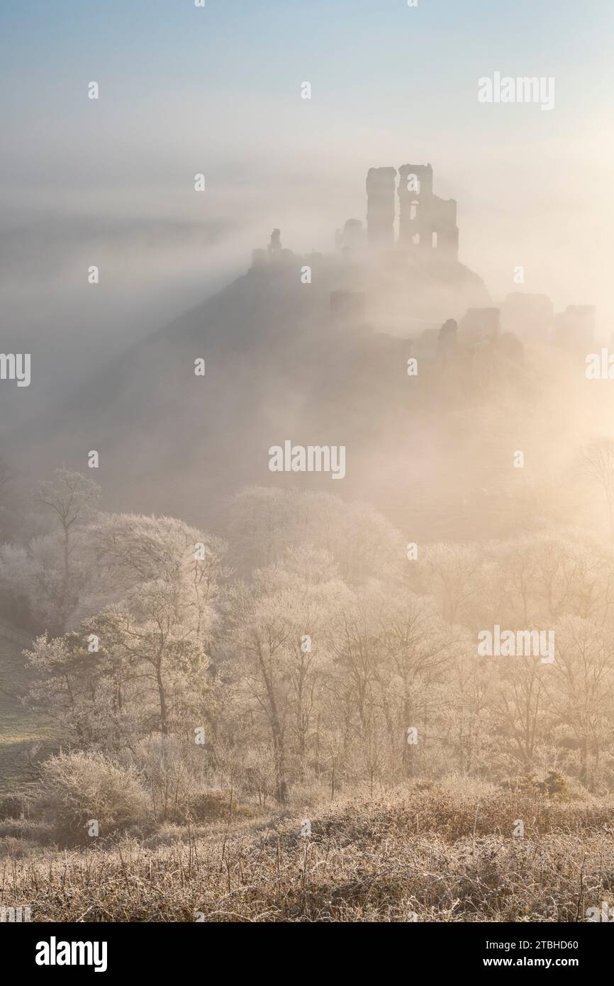 Raureif und eiskalter Nebel am Corfe Castle in den Purbeck Hills, Dorset, England. Winter (Februar) 2023. Stockfoto