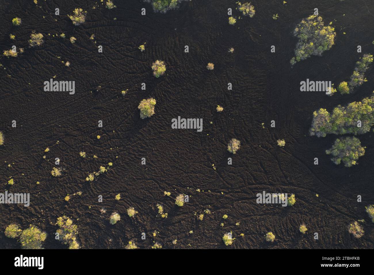 Schwarze vulkanische Bodenoberfläche über der Drone bei sonnigem Licht Stockfoto