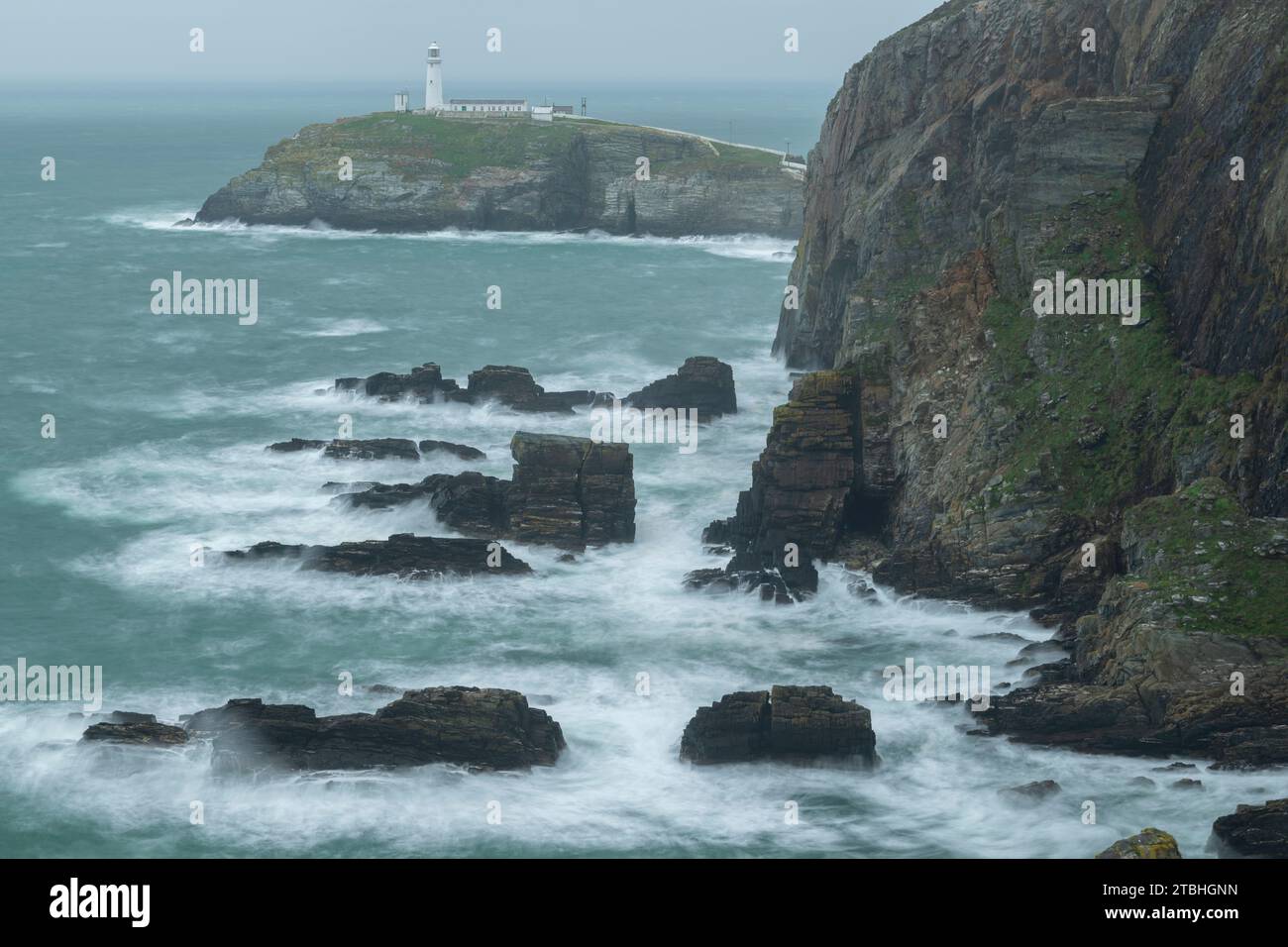Spektakuläre Küstenlandschaft im South Stack Lighthouse in Anglesey, North Wales, Großbritannien. Herbst (Oktober) 2023. Stockfoto