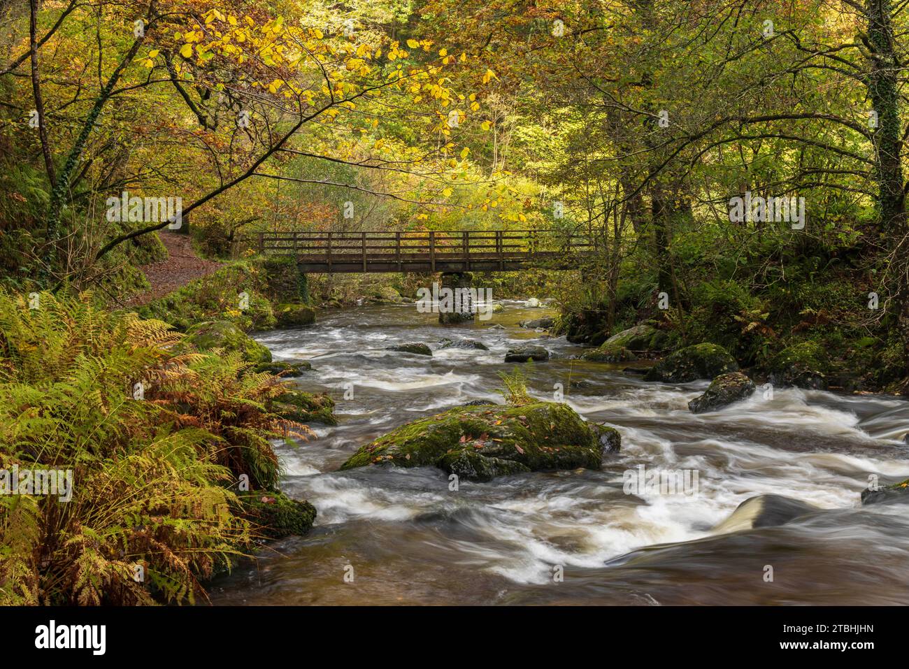 Herbstlaub bei Watersmeet im Exmoor-Nationalpark, Devon, England. Herbst (November) 2023. Stockfoto
