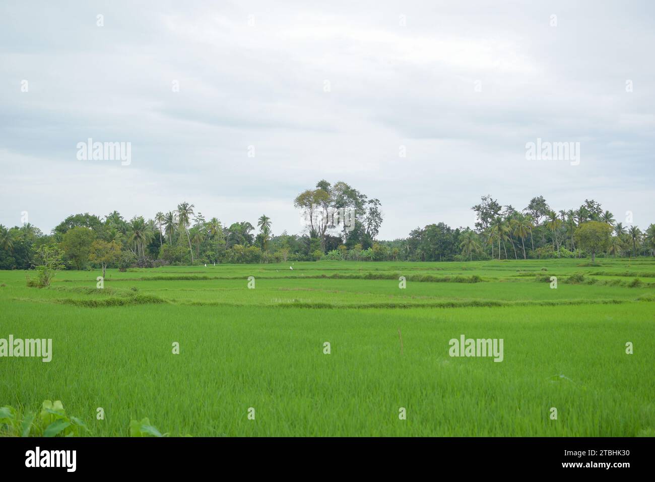Aceh, Indonesien - Dezember 2023: Aktivitäten am Vormittag im Dorf Montasik Stockfoto