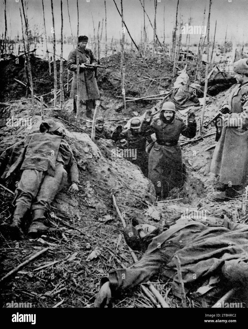 Russische Soldaten nehmen während der deutschen Invasion Russlands im April 1942 die Wermachtstruppen in der Nähe von Staraya gefangen. Versprochene Erleichterung, die zu spät kam für die eingekreisten und die jetzt gefangenen Eindringlinge kämpften hart, wie die Leichen ihrer Kollegen in der Nähe der Gräben sehen können. Stockfoto