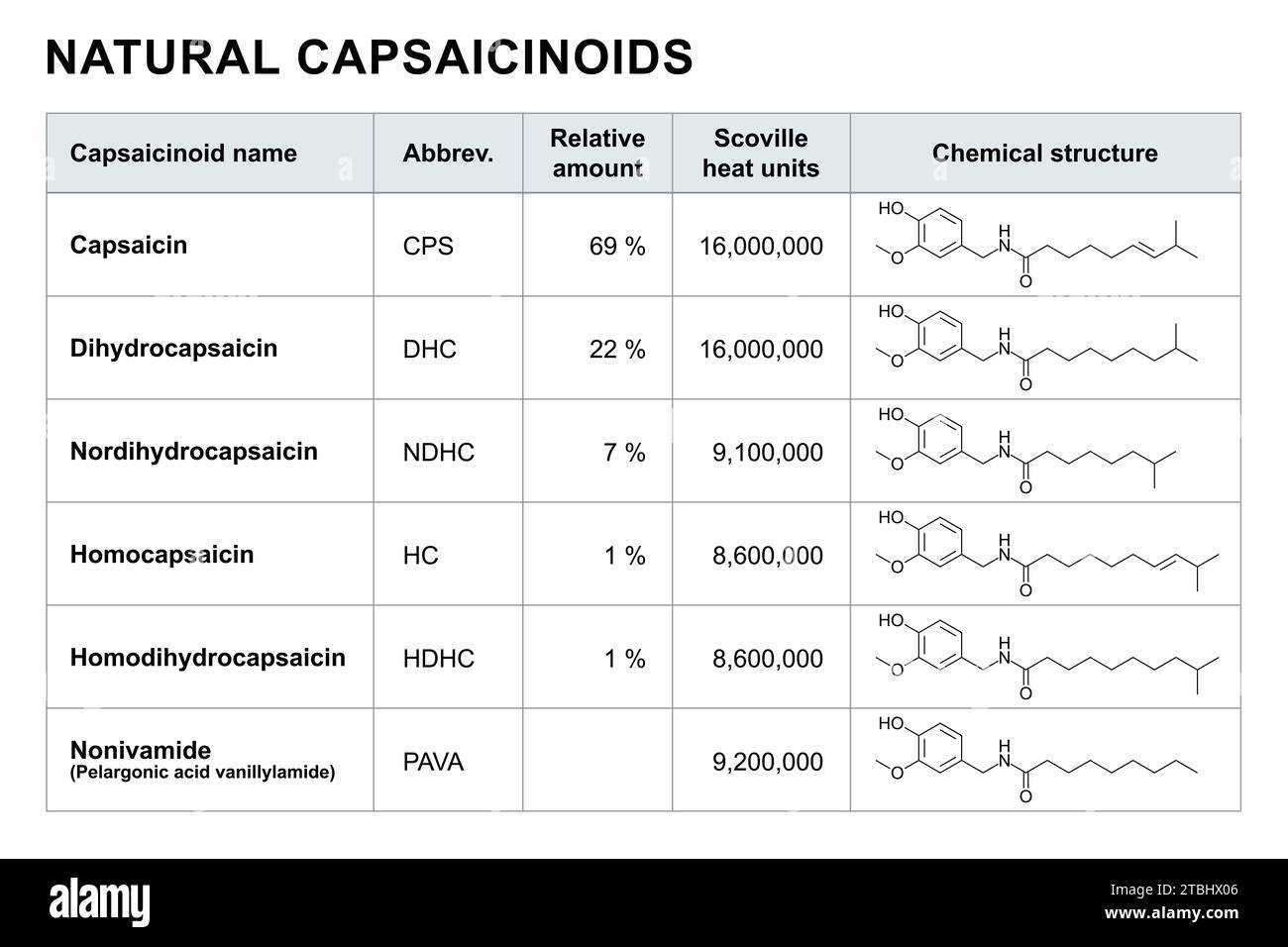 Natürlich vorkommende Capsaicinoide in Chilischoten. Tabelle mit den 6 Namen der Capsaicinoide, absteigend vom häufigsten Durchschnittswert. Stockfoto