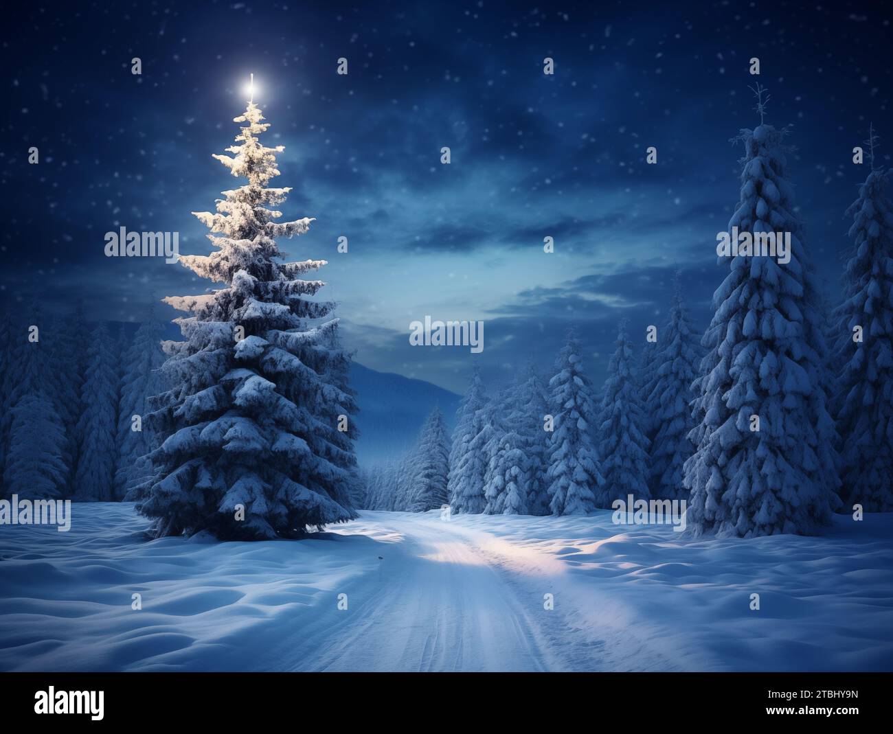 Weihnachtsbaum, Winter, Schnee, dezember, Weihnachten, Digitaler Hintergrund Stockfoto