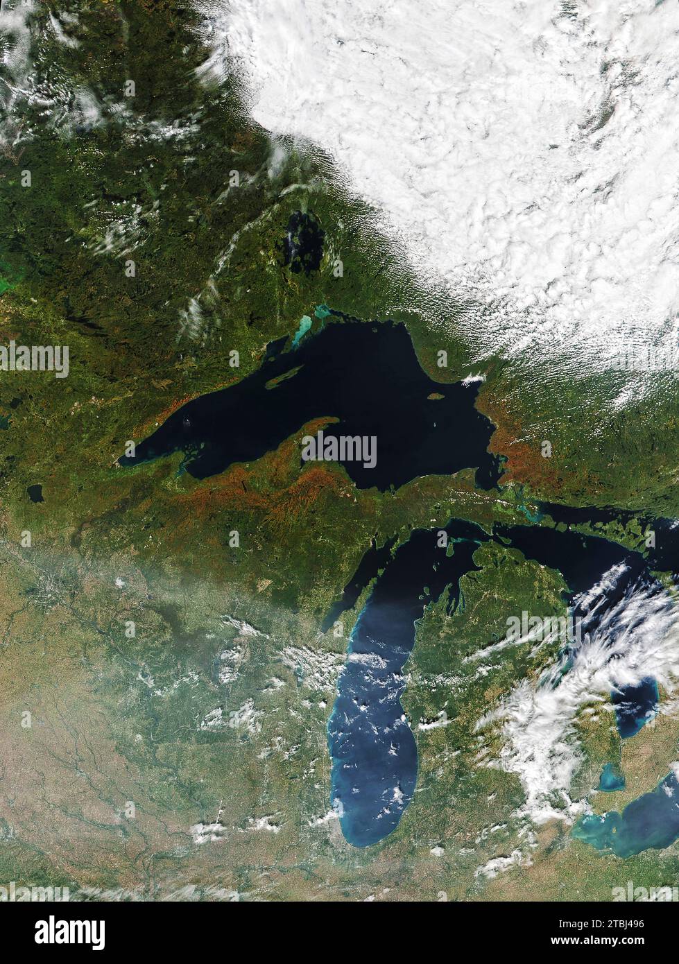 Satellitenbild der Herbstfarbe in den Wäldern um den Lake Superior, reich an Hartholzbäumen. Stockfoto