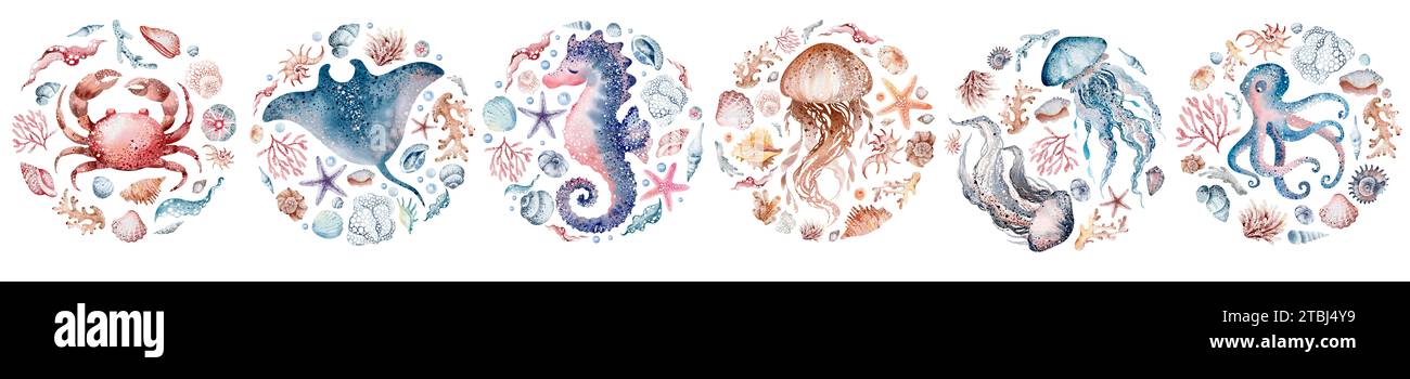 Unterwassertiere auf isoliertem Hintergrund. Aquarellillustration der Untersee. Von Hand gezeichnete Meeresbewohner. Stockfoto