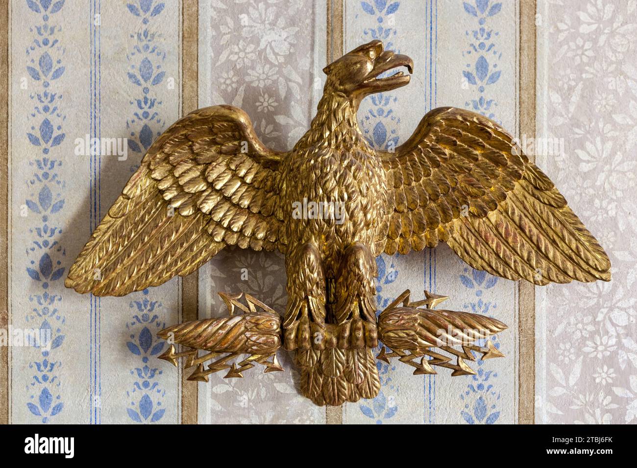 Bronzeadler im Musée National de La Maison Bonaparte. Museum und Interpretationszentrum. Rue Saint-Charles 20000 Ajaccio, Korsika, Frankreich. Stockfoto
