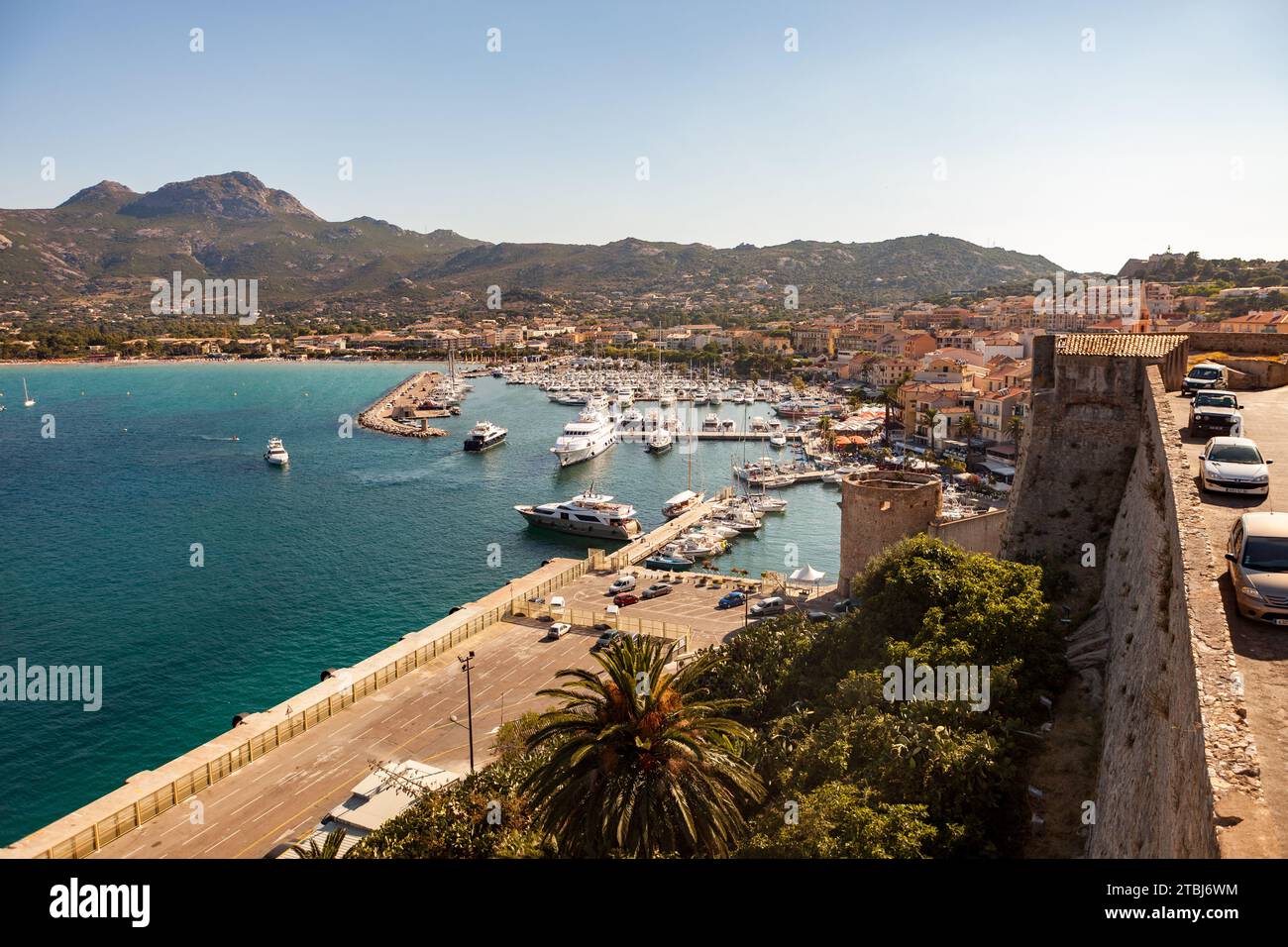 Blick auf den Yachthafen und die Stadt Calvi, Frankreich Stockfoto
