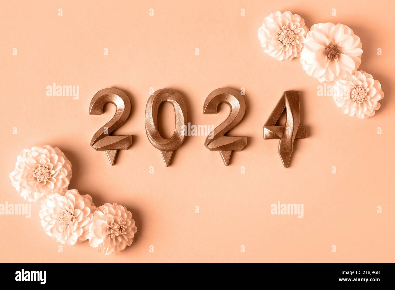Zahlen und Dahlienblüten. Ideenkonzept für das neue Jahr 2024. Trendige Farbe des Jahres 2024 - Peach Fuzz. Beispiel für trendige Farbpalette. Stockfoto