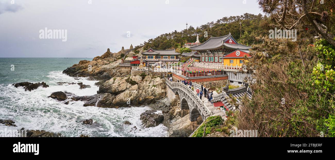 Ein farbenfroher buddhistischer Tempel am Meer, Wellen brechen über felsigem Strand, Haedong Yonggungsa Tempel, Busan, Südkorea. Stockfoto