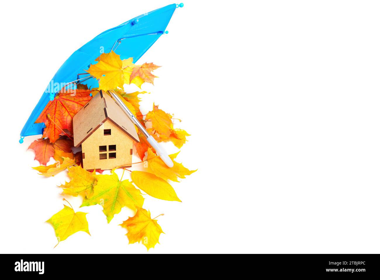 Miniatur-Holzhaus, eingebettet in einen Haufen Herbstblätter unter einem blauen Spielzeugschirm isoliert auf weißem Hintergrund. Stockfoto