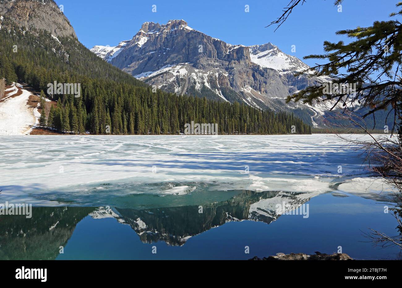 Michael Peak am Emarald Lake, Yoho NP, Kanada Stockfoto