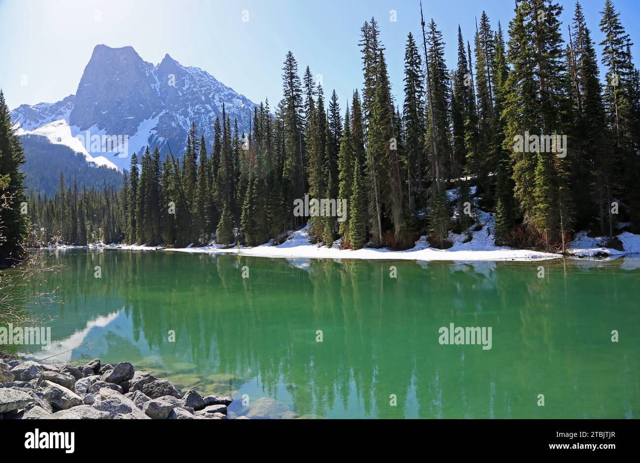 Mount Burgess - Emarald Lake, Yoho NP, Kanada Stockfoto