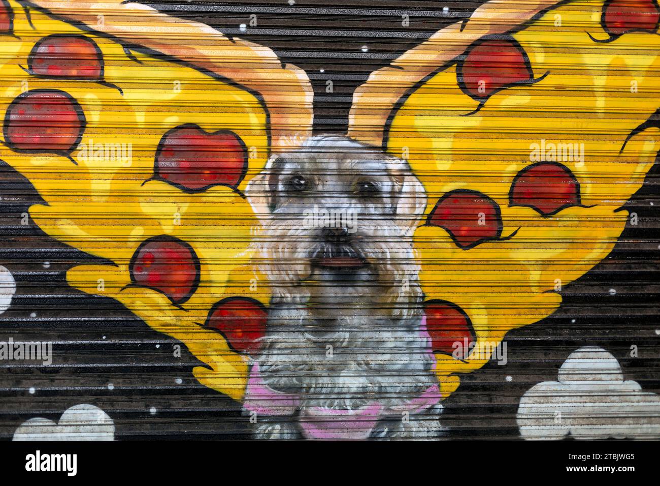 Mexiko, Isla Mujures, farbenfrohe Außenwand, Blick auf die Straße, Gemälde von Hund mit Flügeln von Pizzascheiben Stockfoto