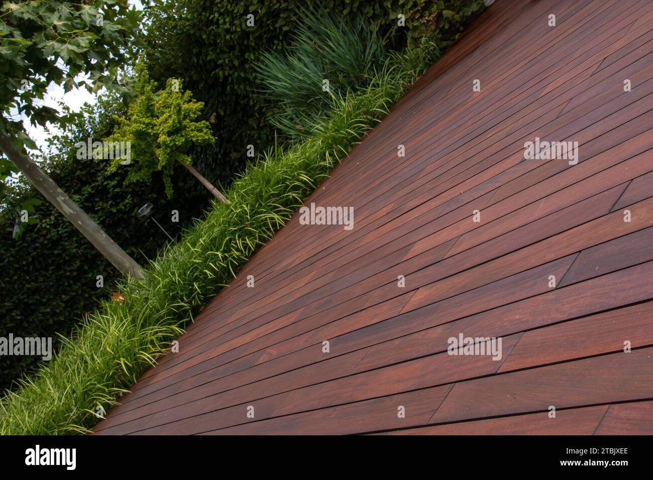 Hölzerne braune Terrassendielen ipe Textur und Gartengrün mit immergrünem Ziergras auf Hintergrund Stockfoto