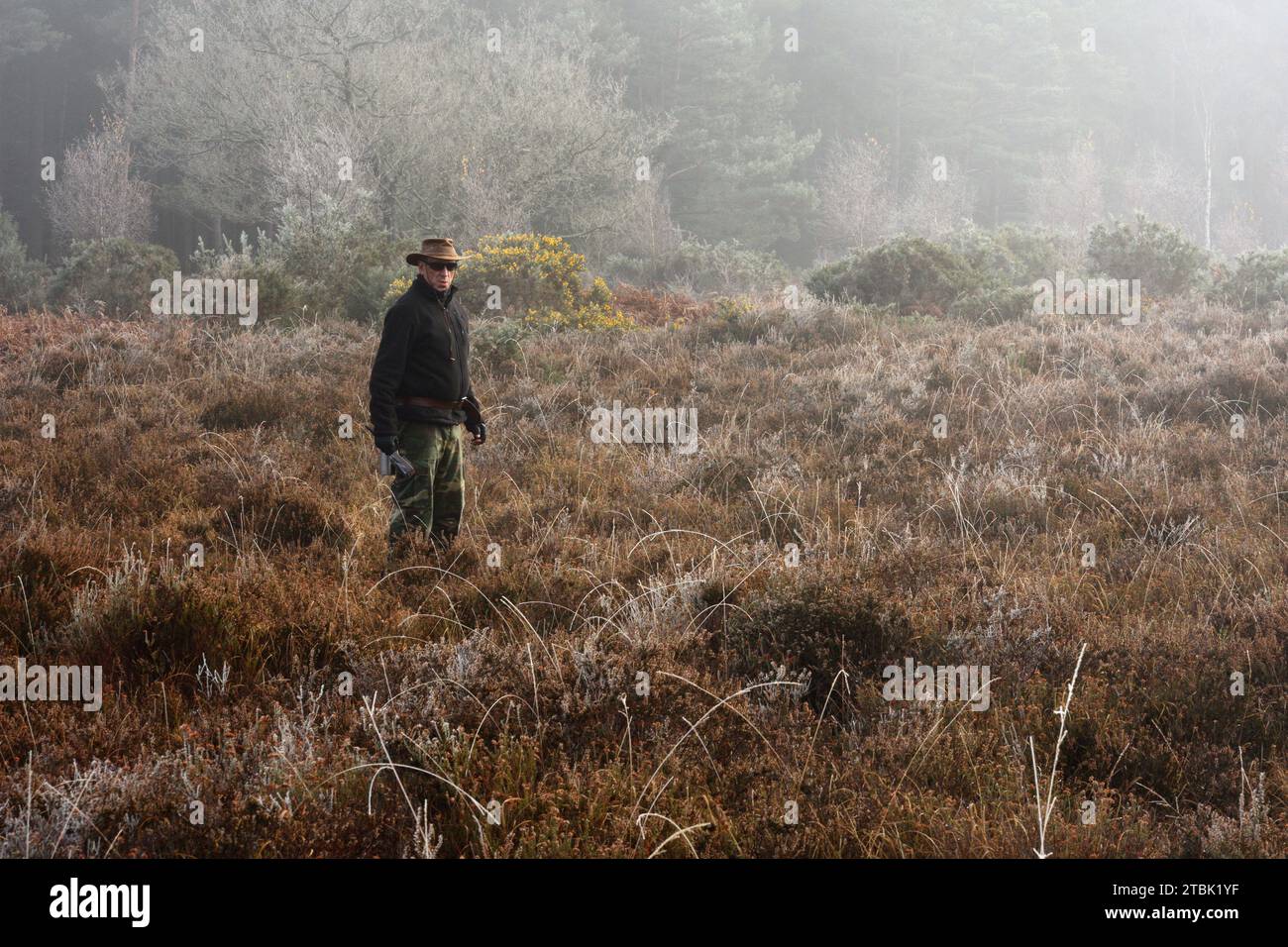 Mann mit Hut auf der Suche im nebeligen Herbstsumpf am Dogwood Bottom, New Forest UK Stockfoto