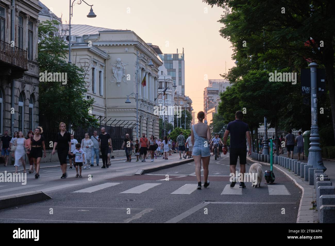 Viele Leute laufen auf der autofreien Fußgängerzone nur Calea Victoriei Straße, am späten Abend. Bukarest, Rumänien - 1. Juli 2023. Stockfoto