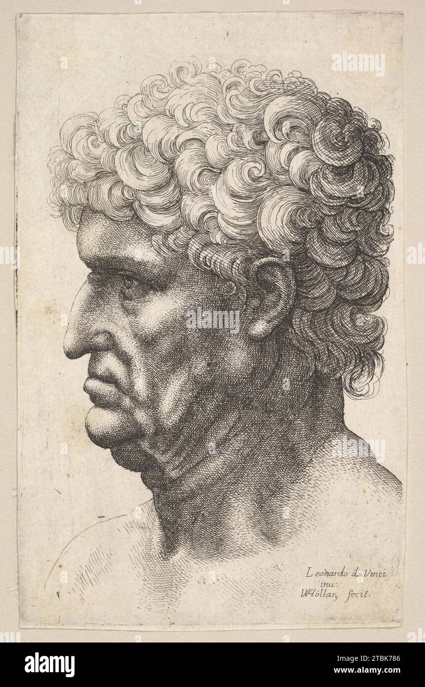 Kopf eines Mannes mit dicken lockigen Haaren im Profil links 1917 von Leonardo da Vinci Stockfoto
