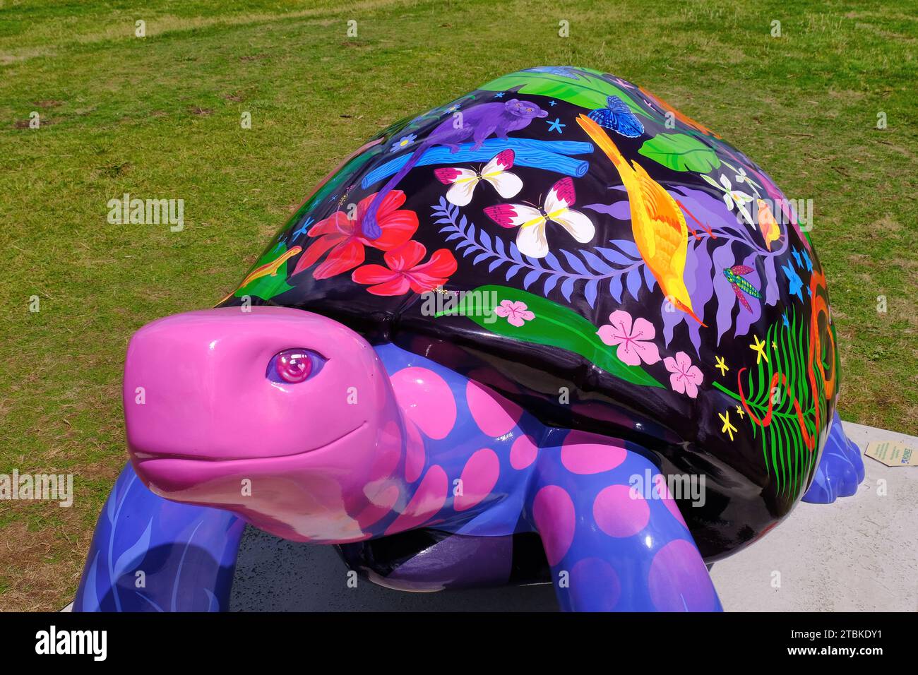 Gorey: Farbenfrohe Schildkröte, die dem Durrell Wildlife Conservation Trust, Gorey, Jersey, Kanalinseln, Großbritannien, gewürdigt wird Stockfoto