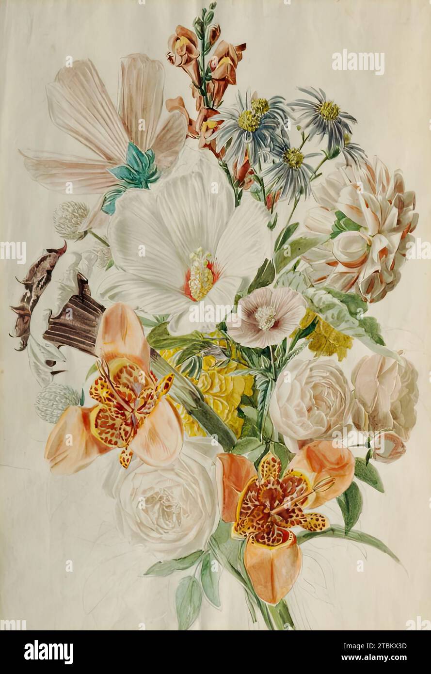 Bouquet mit Hibiskus und Lilien, um 1840/1850. Stockfoto