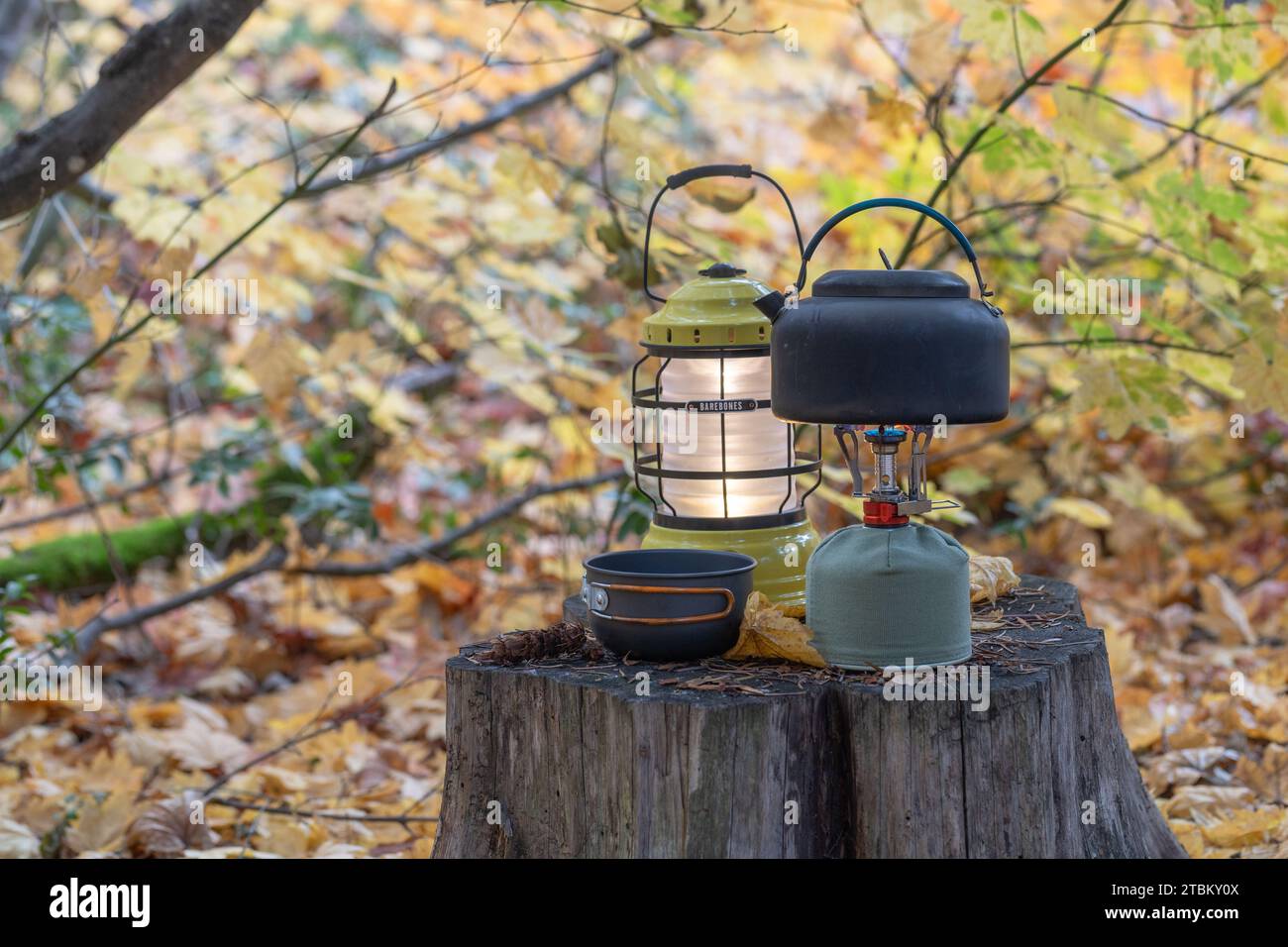 Teekessel auf tragbarem Gasherd mit Kaffeetasse und Laterne, die an einem Herbsttag auf einem Baumstumpf sitzen Stockfoto