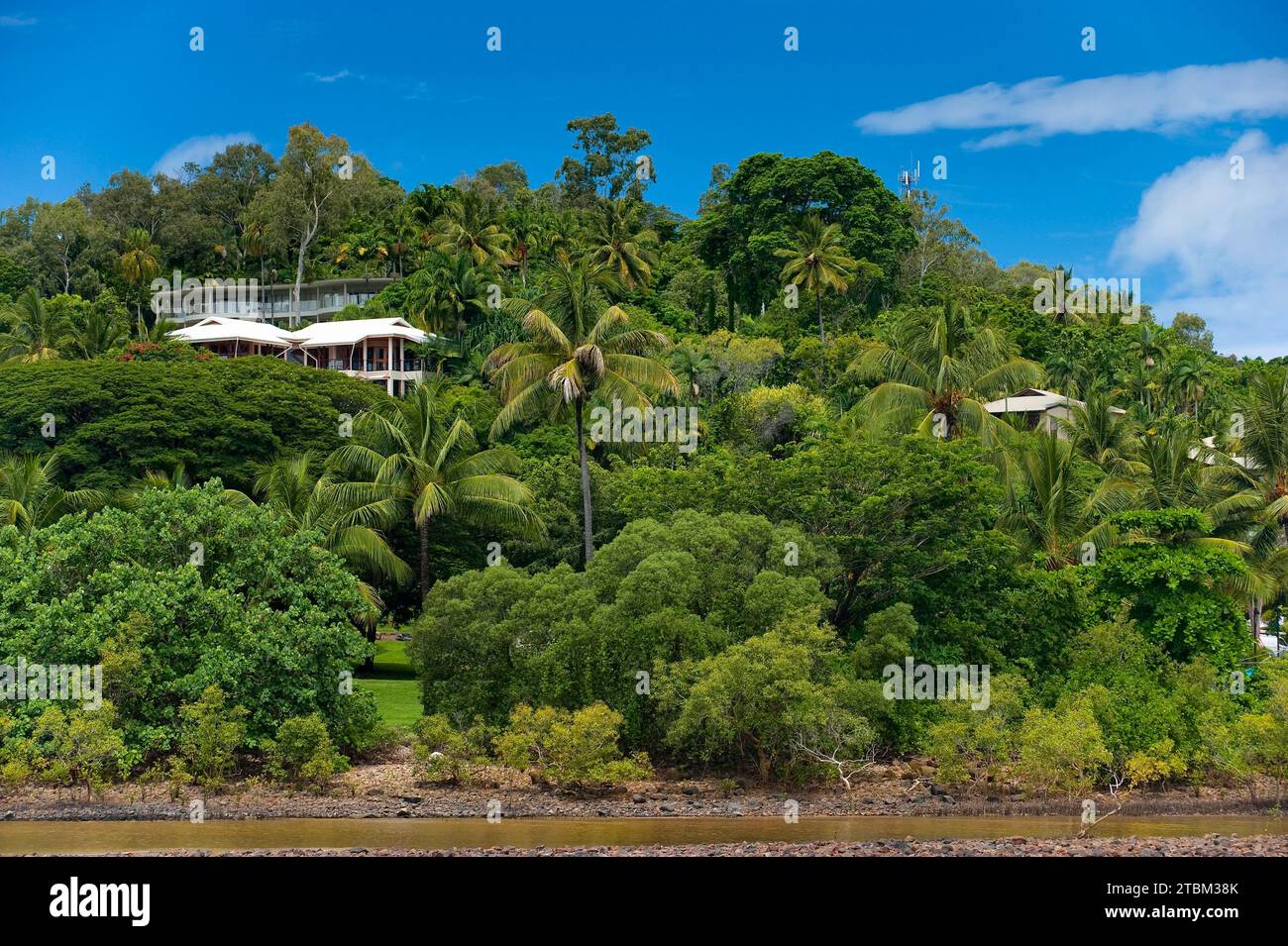 Luxusvillen in der Bucht, Palmen, Tropen, tropische, Architektur, Dschungel von Port Douglas, Queensland, Australien Stockfoto