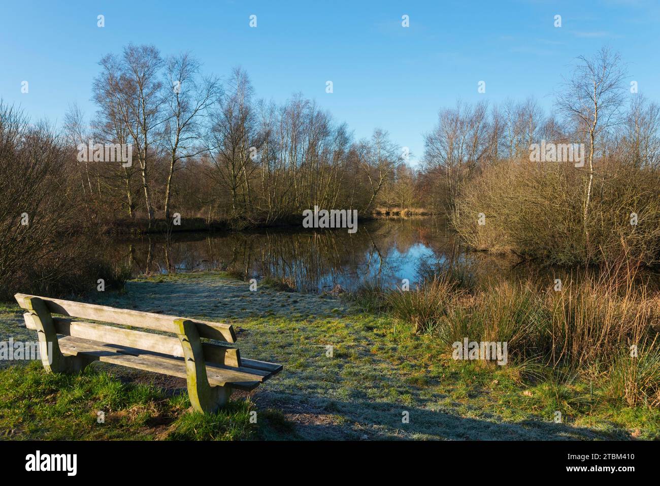 Ufer am Wasser, de Deelen, Landschaftsschutzgebiet, Naturschutzgebiet, Luinjeberd, Lunbert, Heerenveen, Friesland, Niederlande Stockfoto