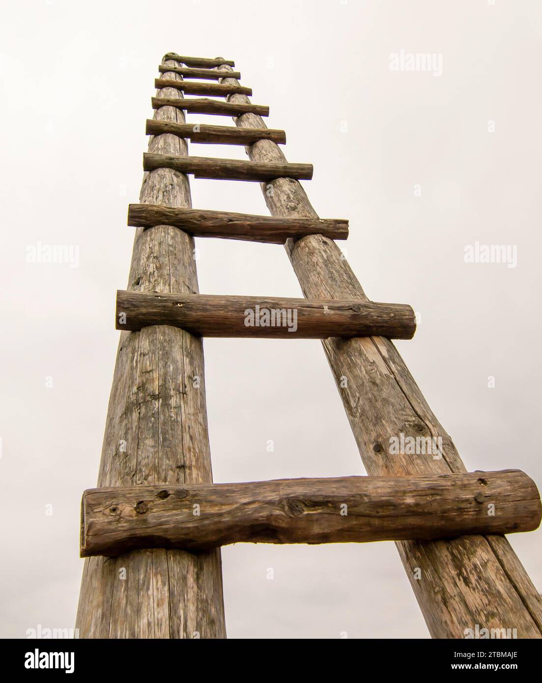 Alte Holzleiter auf der Wiese, die hoch in den Himmel führt, Leiter zum Himmel. Symbol für Karriere Stockfoto