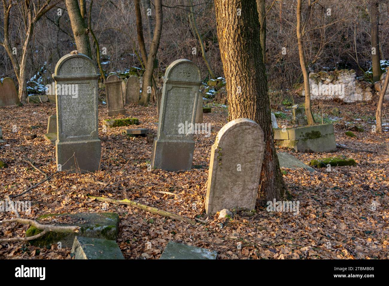 Alte alte alte verlassene jüdische Friedhof im Wald im Winter. Alte Grabsteine oder Grabsteine auf dem Friedhof Stockfoto