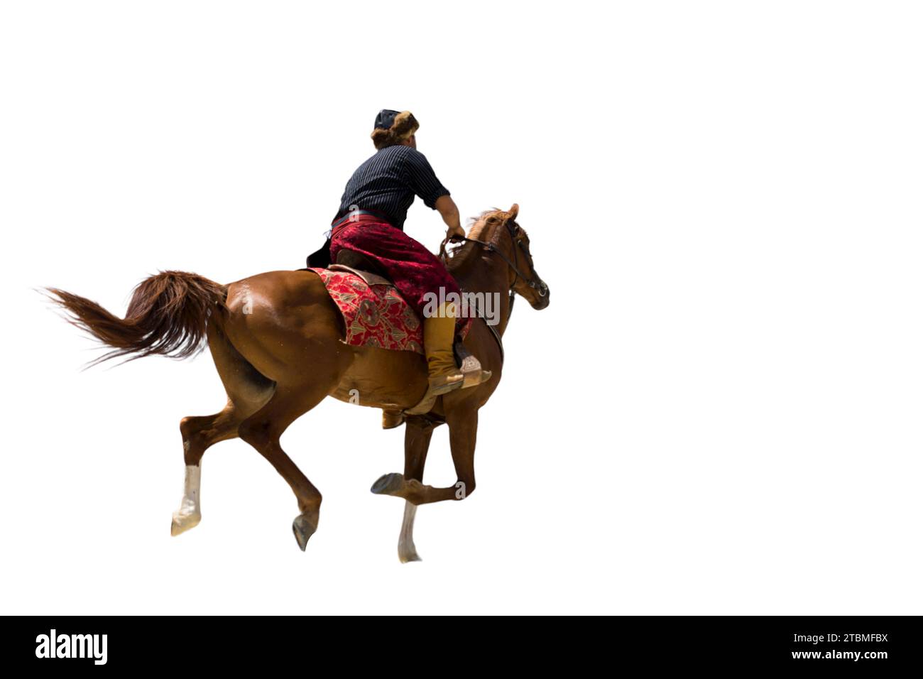 Reiter mit Pferd trainiert auf weißem Hintergrund Stockfoto