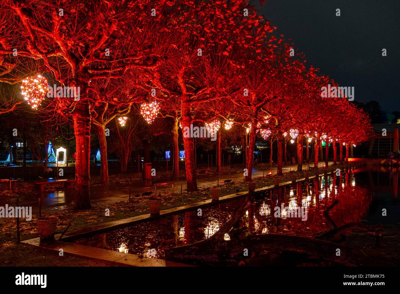 Deutschland, Baden-Württemberg, Stuttgart, Wilhelma, Weihnachtsgarten 2023. Lichtkunst in der Wilhelma Stockfoto