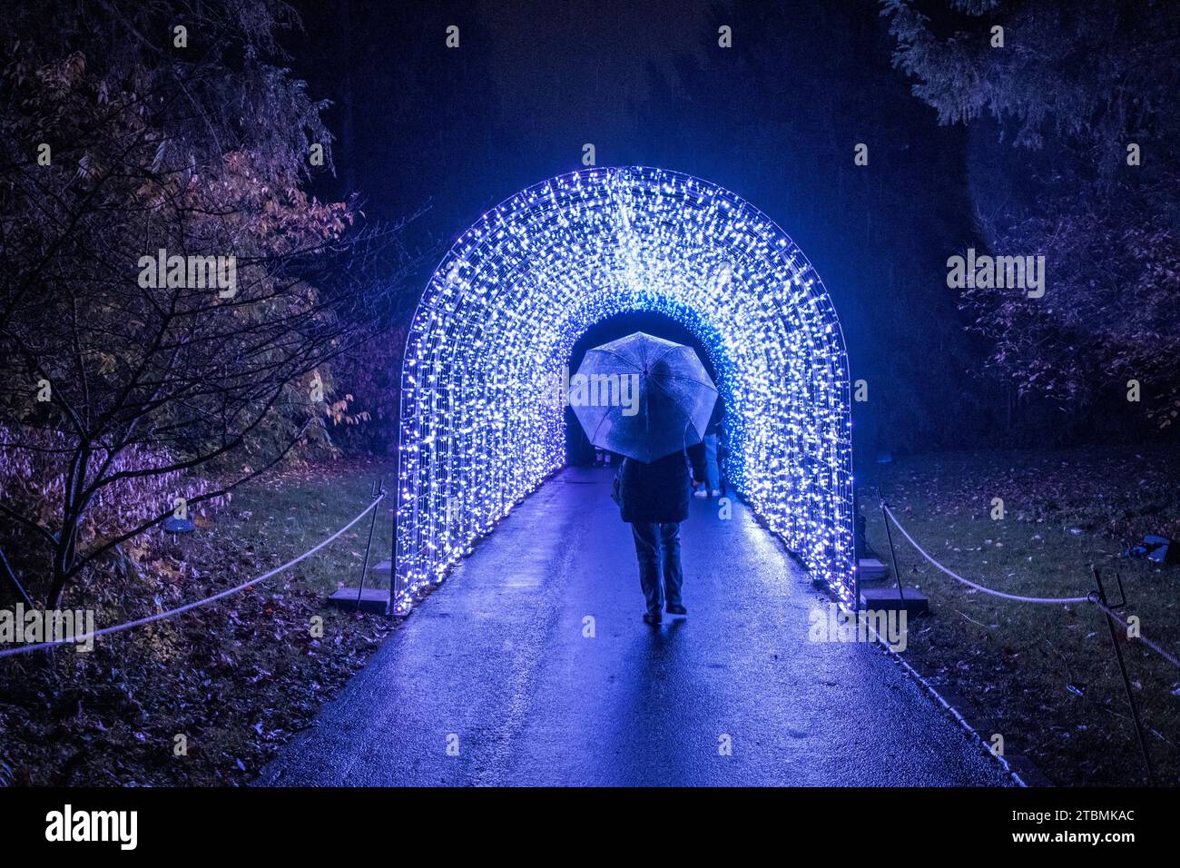 Deutschland, Baden-Württemberg, Stuttgart, Wilhelma, Weihnachtsgarten 2023. Lichtkunst in der Wilhelma Stockfoto