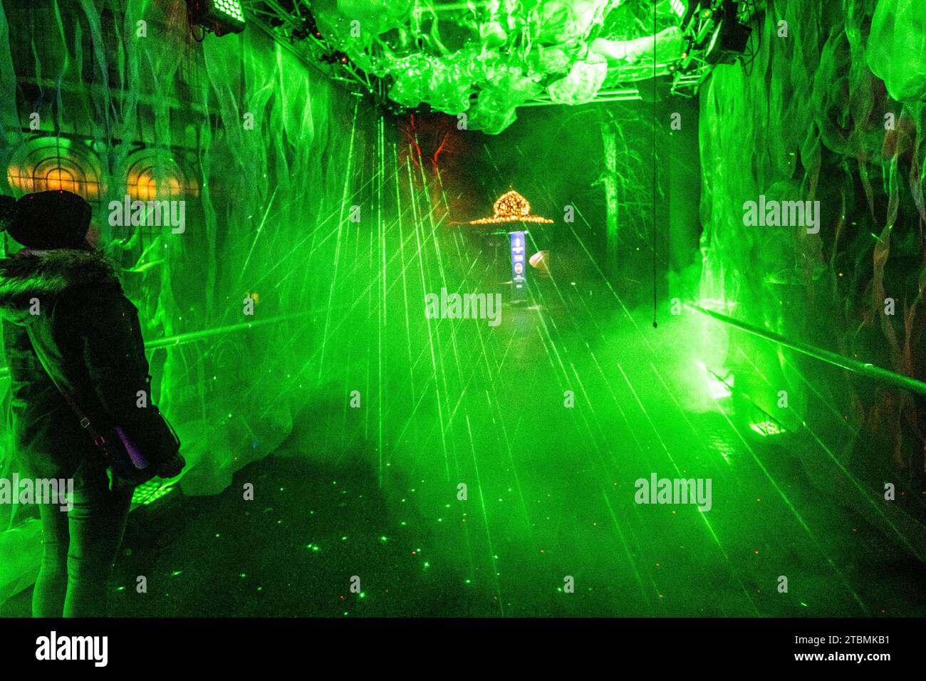 Deutschland, Baden-Württemberg, Stuttgart, Wilhelma, Weihnachtsgarten 2023. Lichtkunst in der Wilhelma Stockfoto