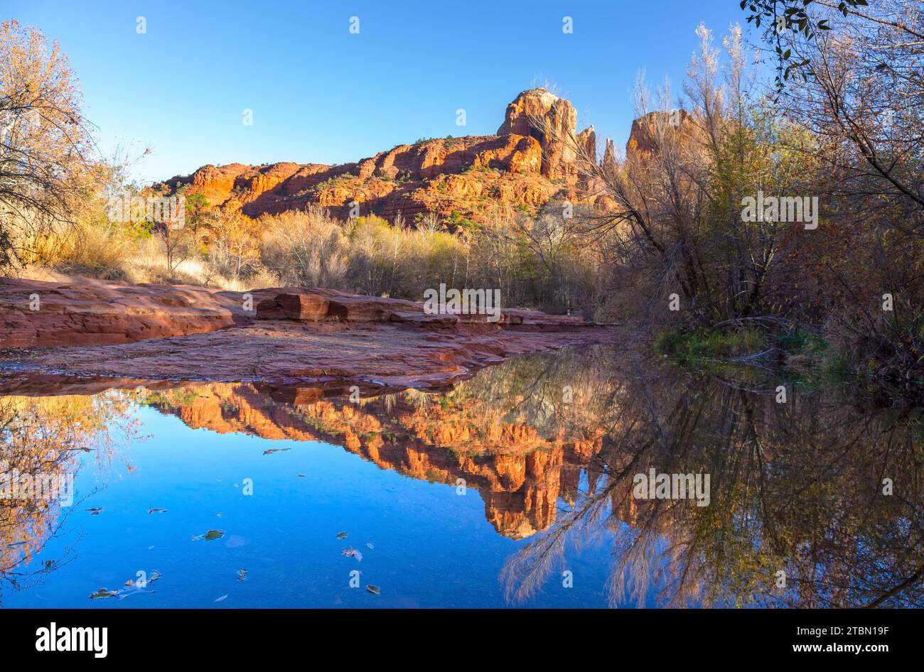 Cathedral Rock Sandstone Formation spiegelt sich im Oak Creek Calm Water. Malerische Herbstlandschaft im Red Rocks State Park, Sedona, Arizona, Südwesten der USA Stockfoto