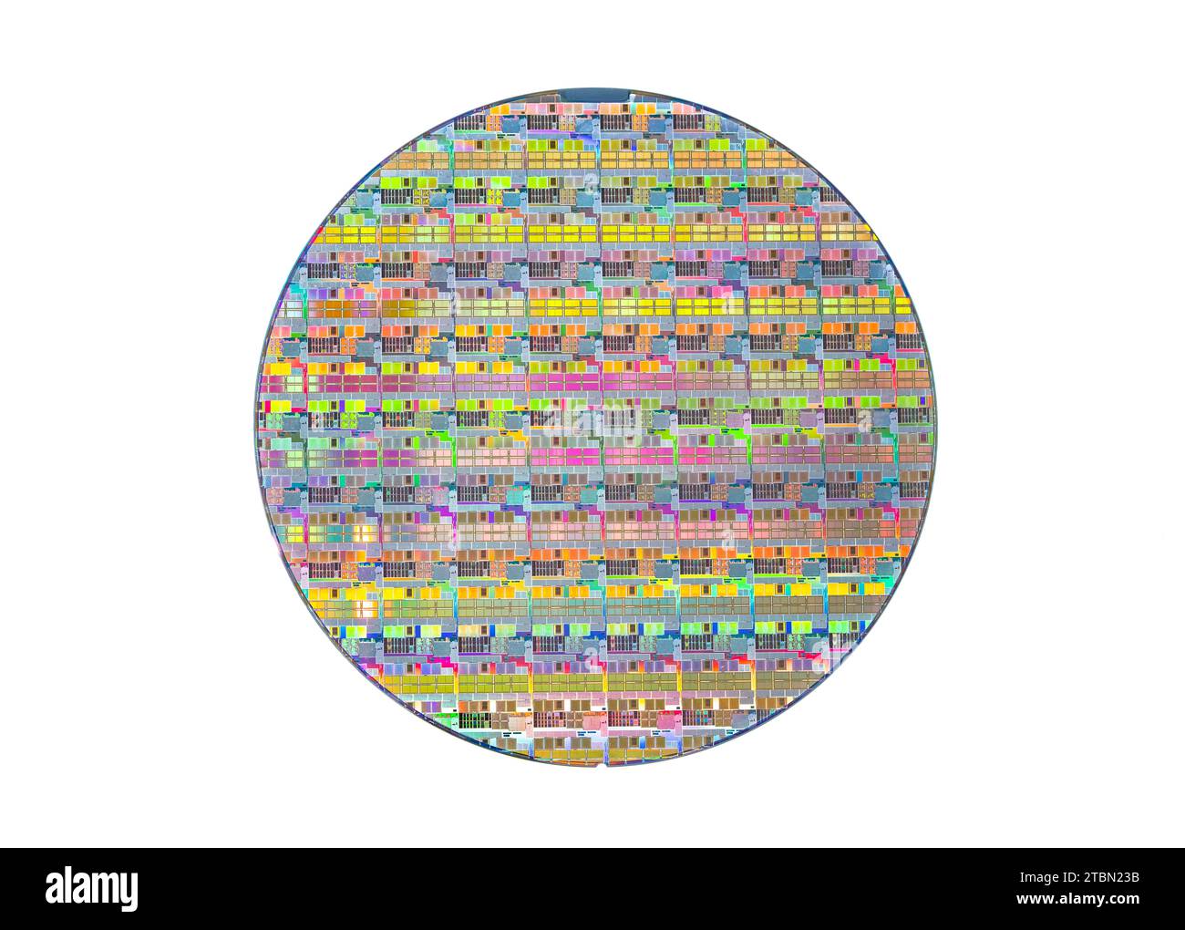 Bunte Halbleiter-Wafer-Scheibe aus Silizium isoliert auf weißem Hintergrund Stockfoto