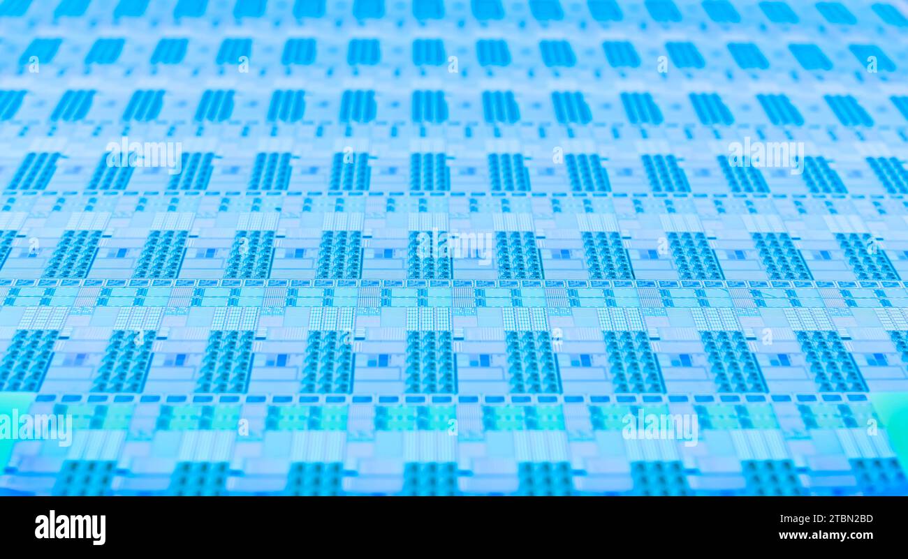 Blauer Siliziumwafer mit Mikrochips, die in der Elektronik zur Herstellung integrierter Schaltungen verwendet werden. Stockfoto