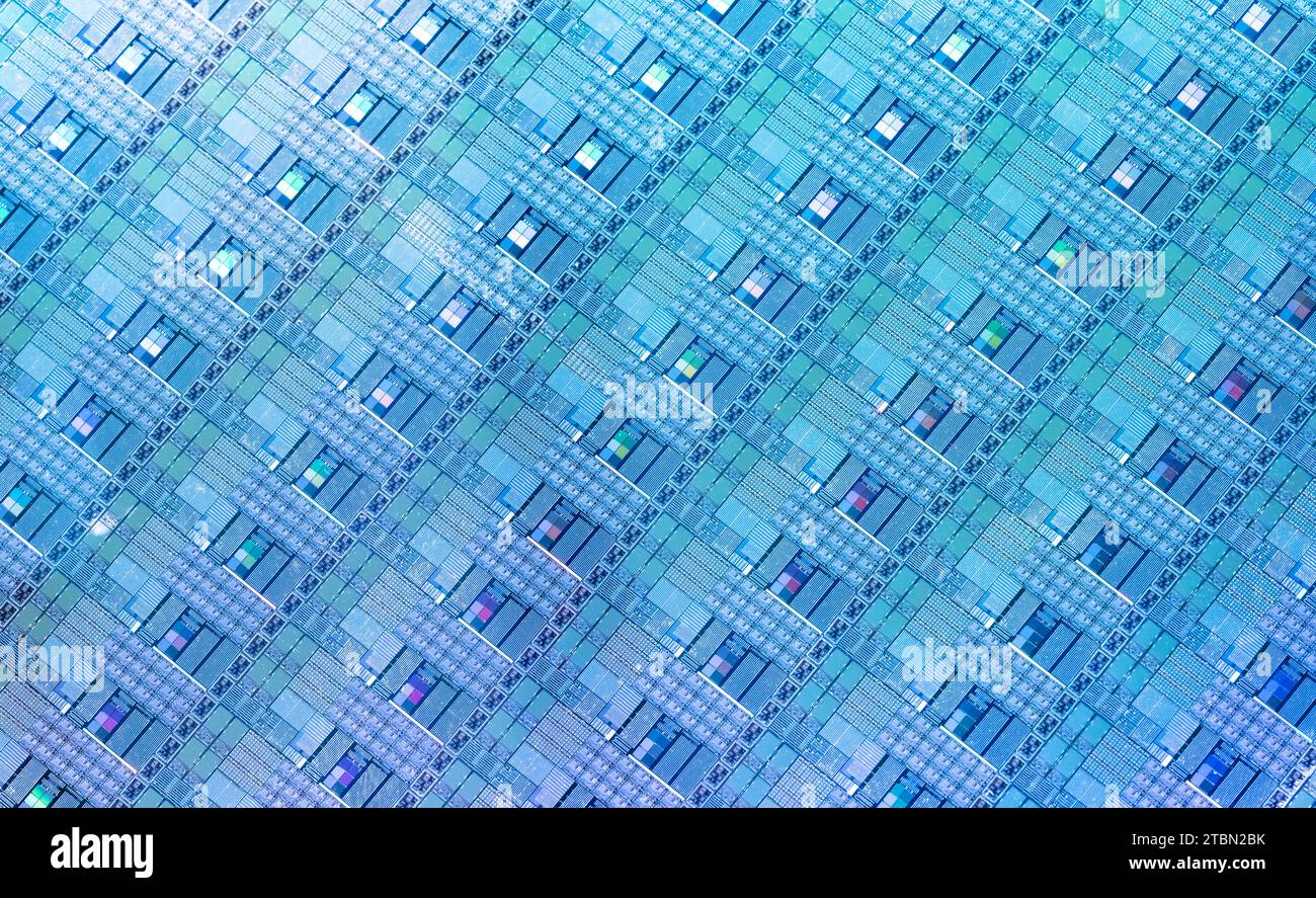 Blauer Siliziumwafer mit Mikrochips, die in der Elektronik zur Herstellung integrierter Schaltungen verwendet werden. Stockfoto