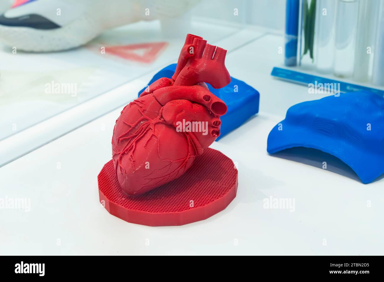 Herz 3d drucker -Fotos und -Bildmaterial in hoher Auflsung  Alamy