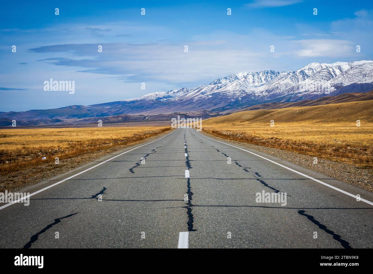 Gerade Straße, die in Richtung der schneebedeckten Altai-Berge unter einem klaren blauen Himmel führt. Stockfoto