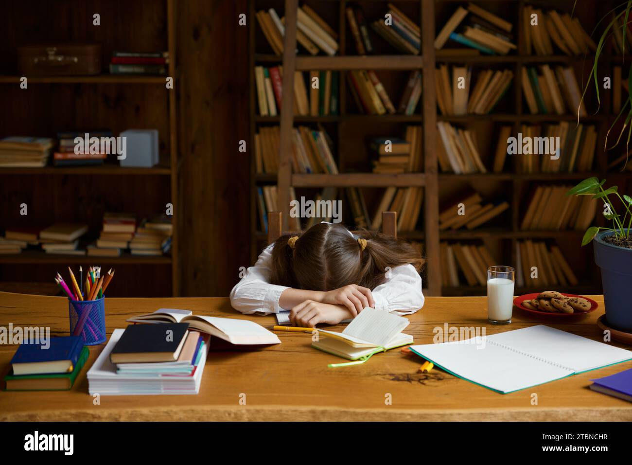 Müde Schülerin, die am Schreibtisch schläft, fühlt sich erschöpft Stockfoto