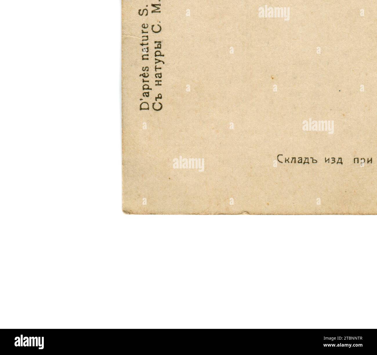 Die Farbfotografie von Lew Nikolajewitsch Tolstoi (russisch Лев Николаевич Толстой; 9. September [O. S. 28. August] 1828 – 20. November [O. S. 7. November] 1910), in englischer Sprache als Leo Tolstoi bezeichnet, war ein russischer Schriftsteller von Sergej Prokudin-Gorski. Rückseite alte Vintage-Postkarte des Russischen Reiches, 23. Mai 1908. Details. Stockfoto