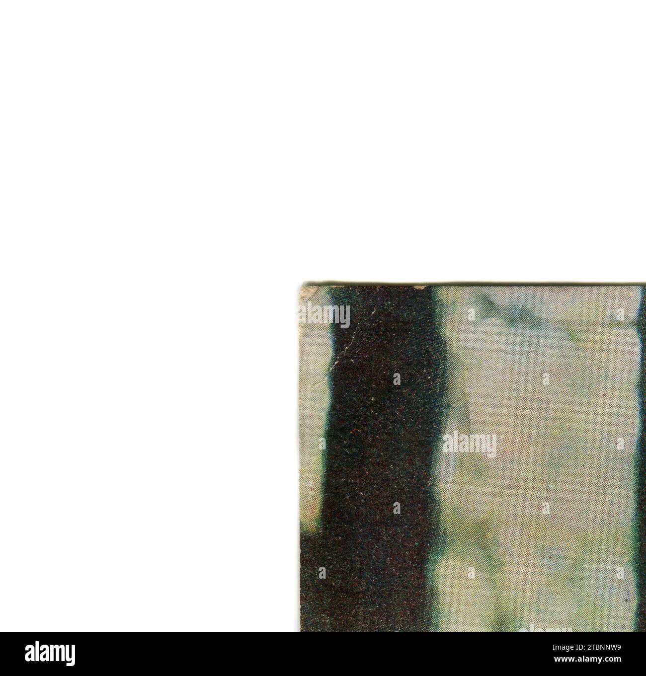 Die Farbfotografie von Lew Nikolajewitsch Tolstoi (russisch Лев Николаевич Толстой; 9. September [O. S. 28. August] 1828 – 20. November [O. S. 7. November] 1910), in englischer Sprache als Leo Tolstoi bezeichnet, war ein russischer Schriftsteller von Sergej Prokudin-Gorski. Alte Vintage-Postkarte des Russischen Reiches, 23. Mai 1908. Details. Stockfoto